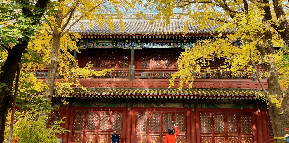 {"ARInfo":{"IsUseAR":false},"Version":"1.0.0","MakeupInfo":{"IsUseMakeup":false},"FaceliftInfo":{"IsChangeEyeLift":false,"IsChangeFacelift":false,"IsChangePostureLift":false,"IsChangeNose":false,"IsChangeFaceChin":false,"IsChangeMouth":false,"IsChangeThinFace":false},"BeautyInfo":{"SwitchMedicatedAcne":false,"IsAIBeauty":false,"IsBrightEyes":false,"IsSharpen":false,"IsOldBeauty":false,"IsReduceBlackEyes":false},"HandlerInfo":{"AppName":2},"FilterInfo":{"IsUseFilter":false}}